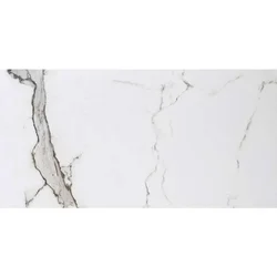 Marble Statuario Matt 30x60