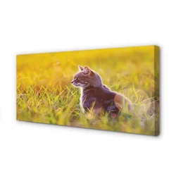 tulup.si Slika na platnu Lov mačka 140x70 cm