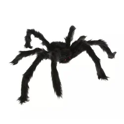 Velikanski pajek - 60 cm