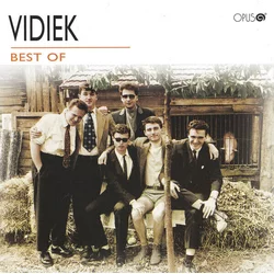 Vidiek Best Of (CD)