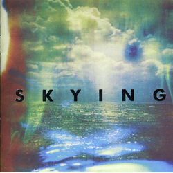 The Horrors - Skying (CD)