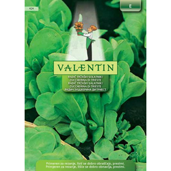 RADIČ TRŽAŠKI SOLATNIK/Zuccherina di Trieste - Ceneje.si