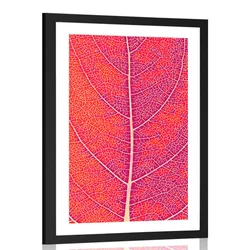 Plakat s paspartujem struktura lista - 30x45 no frame