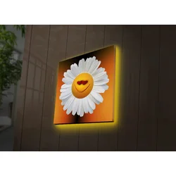 Zidna slika sa LED osvetljenjem 2828DACT-41, 28x28 cm