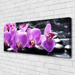 tulup.si Slika na platnu Flower na wall 120x60 cm