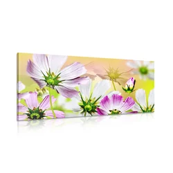 Slika vrtni cvetovi - 60x30