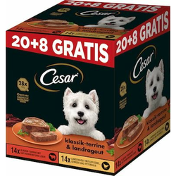 Cesar PLUSPACK 20 + 8 GRATIS (2 okusa)