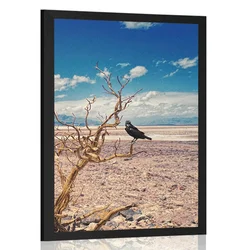 Plakat vrana v sušni pokrajini - 40x60 black