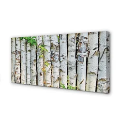 tulup.si Slika na platnu Breza listi 125x50 cm