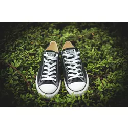 Converse All Star Chuck Taylor M9166