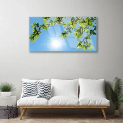 tulup.si Steklena slika Sonce narava 125x50 cm 2 obešalnika