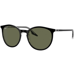 Ray-Ban RB2204 919/58