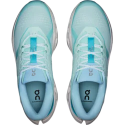 On Cloudrunner 3