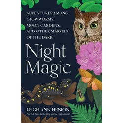 Night Magic
