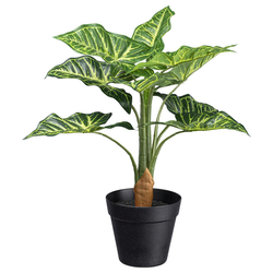 Veštačka Biljka Syngonium