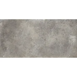 Meteora Grigio Rettificato 61x61