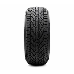Riken Snow ( 225/55 R17 101V XL )