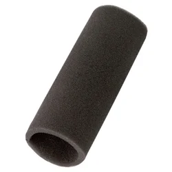BOSCH Filter za sesalnik Bosch 00754175, (5000550882)