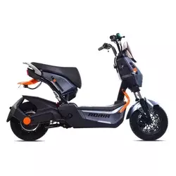 CAPRIOLO Bicikl E-bike E2 RX20 sivi (292027-S)