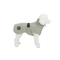 33 Carinio Alpine Thermo Mint M Dog Jacket