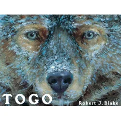 Robert J. Blake - Togo