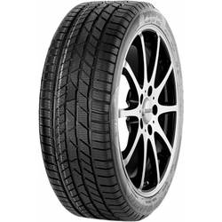 Profil Pro All Weather ( 205/50 R17 89H, totalna obnova )