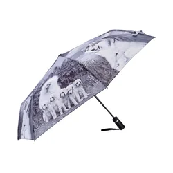 Deznik Odpri in zapri sistem UMBRELLA AND MORE 96 cm Psi in Macke 2
