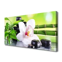 tulup.si Slika na platnu Orchid bamboo listi 120x60 cm