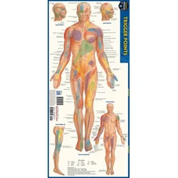 Trigger Points: a QuickStudy Laminated Anatomy Reference Guide