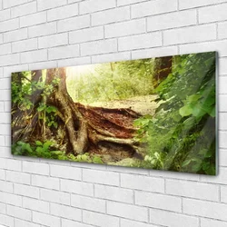 tulup.si Slika na akrilnem steklu Tree trunk forest narava 125x50 cm 2 obešalnika