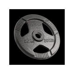 REBEL ACTIVE Liveni gvozdeni olimpijski teg ploča singl 20kg / 51mm RBA-2143-20