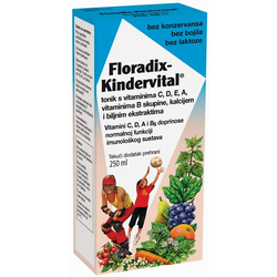 DIETPHARM FLORADIX KINDERVITAL TONIK 250 ML