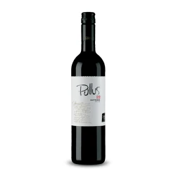 ptujska-klet Vino Sauvignon Pullus Ptujska Klet 0,75 l