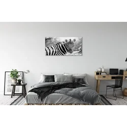 tulup.si Steklena slika Retro zebra 120x60 cm 2 obešalnika