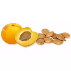 Jezgro kajsijine koštice rinfuz 1kg