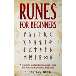 Runes for Beginners - Ceneje.si