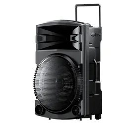 Newmine Bežični zvučnik N522, 12 + Mikrofon + Adapter