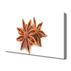 tulup.si Slika na platnu Star janež spice 140x70 cm