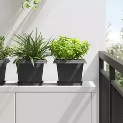 Kvadratna posuda za cvijeće 6 pcs Crna 18 x 18 x 2 cm Plastika