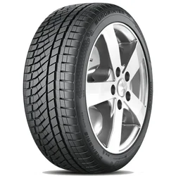 Falken EUROWINTER HS02PRO ( 255/45 R22 107V XL, sa zaštitom za felne (MFS) NBLK )