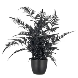 Veštačka Biljka 50cm Pteris Ii