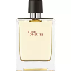 EDT za muškarce Hermes Terre D'hermes 100ml