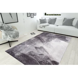 Conceptum Hypnose tepih Funk -AL 196, 230x330 cm, siva