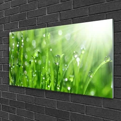 tulup.si Slika na steklu Narava grass drops 100x50 cm 4 obešalnika
