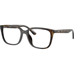 Ray-Ban RX7248D 2012