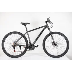 BIC. 29/21 MAXIMUS GREY