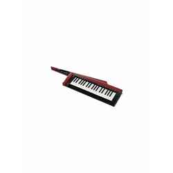 Korg RK-100S 2 RD