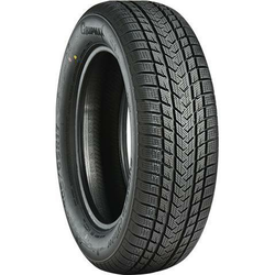 Gripmax Suregrip eWinter ( 175/65 R17 87V )