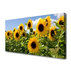 tulup.si Slika na platnu Sončnica flower rastlin 125x50 cm