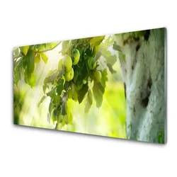 tulup.si Slika na steklu Apple tree branch narava 120x60 cm 4 obešalnika